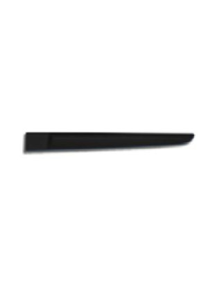 MODANATURA PORTA POST SX RENAULT CLIO III (BR0 1/CR0 1) 2006