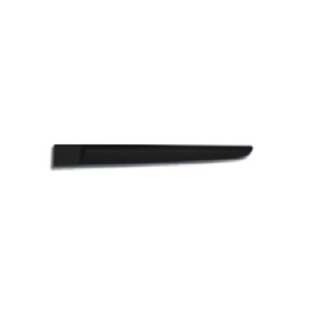 MODANATURA PORTA POST SX RENAULT CLIO III (BR0 1/CR0 1) 2006