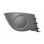 GRIGLIE PARAURTI ANT DX RENAULT CLIO III (BR0 1/CR0 1) 2006 2009 OEM 7701208685