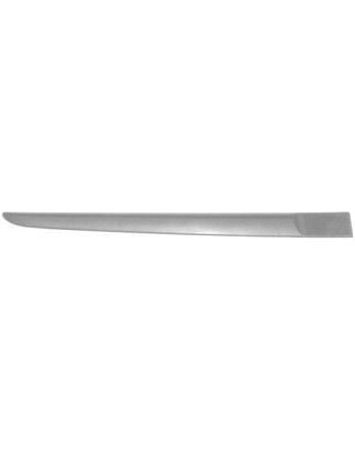 MODANATURA PORTA POST DX RENAULT CLIO III (BR0 1/CR0 1) 2006