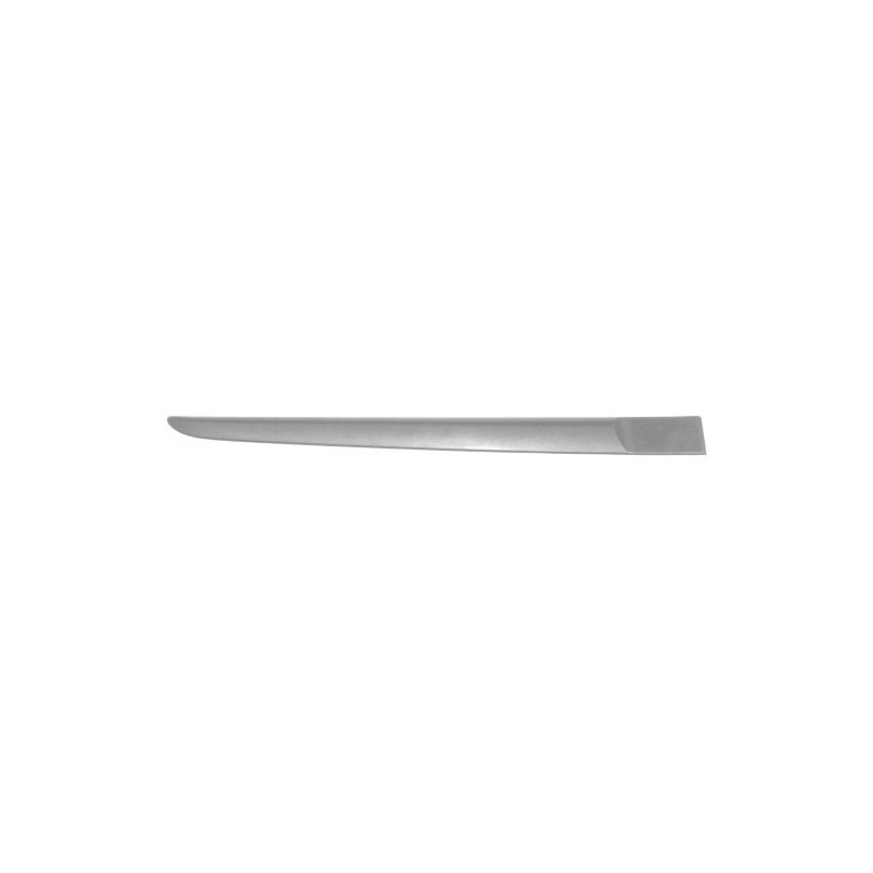 MODANATURA PORTA POST DX RENAULT CLIO III (BR0 1/CR0 1) 2006 2009