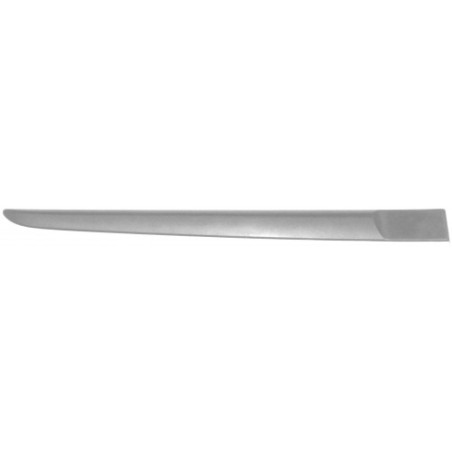 MODANATURA PORTA POST DX RENAULT CLIO III (BR0 1/CR0 1) 2006