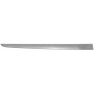 MODANATURA PORTA POST DX RENAULT CLIO III (BR0 1/CR0 1) 2006 2009