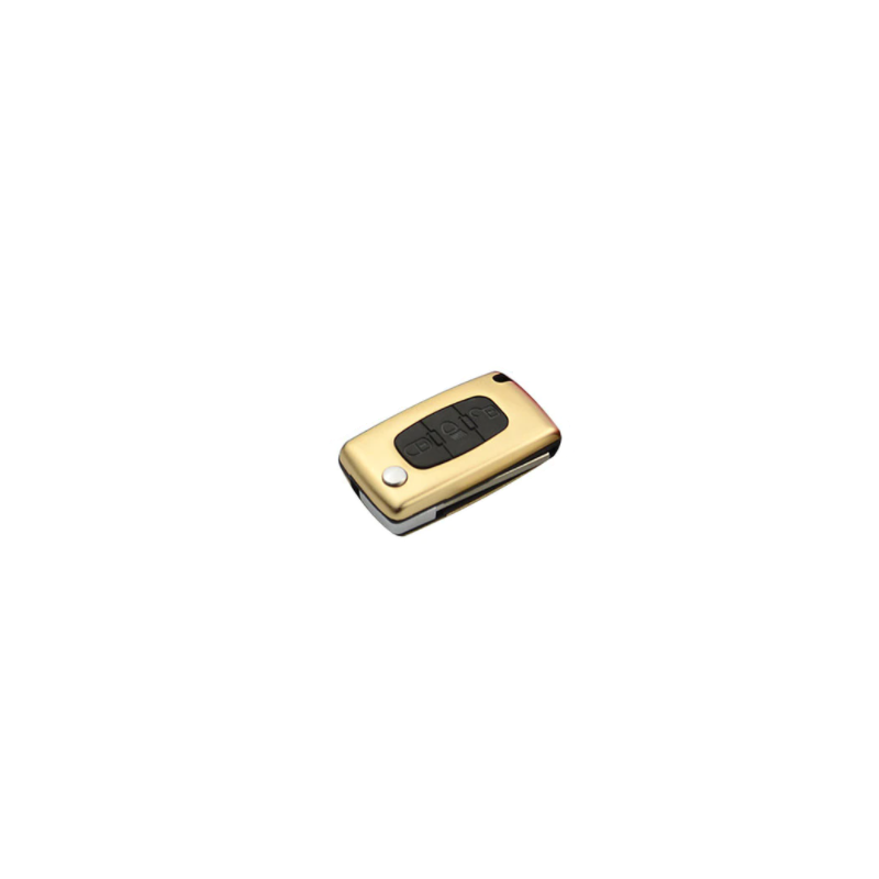 GUSCIO PER CHIAVI ORO 3 PEUGEOT 207 (WD/WA/WC) 2006 2014