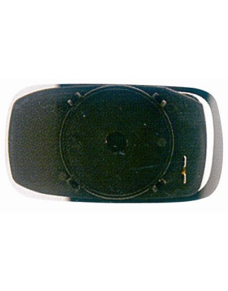 VETRO CON PIASTRA DX FIAT PALIO (178/173/373/374/171) 1999 2004