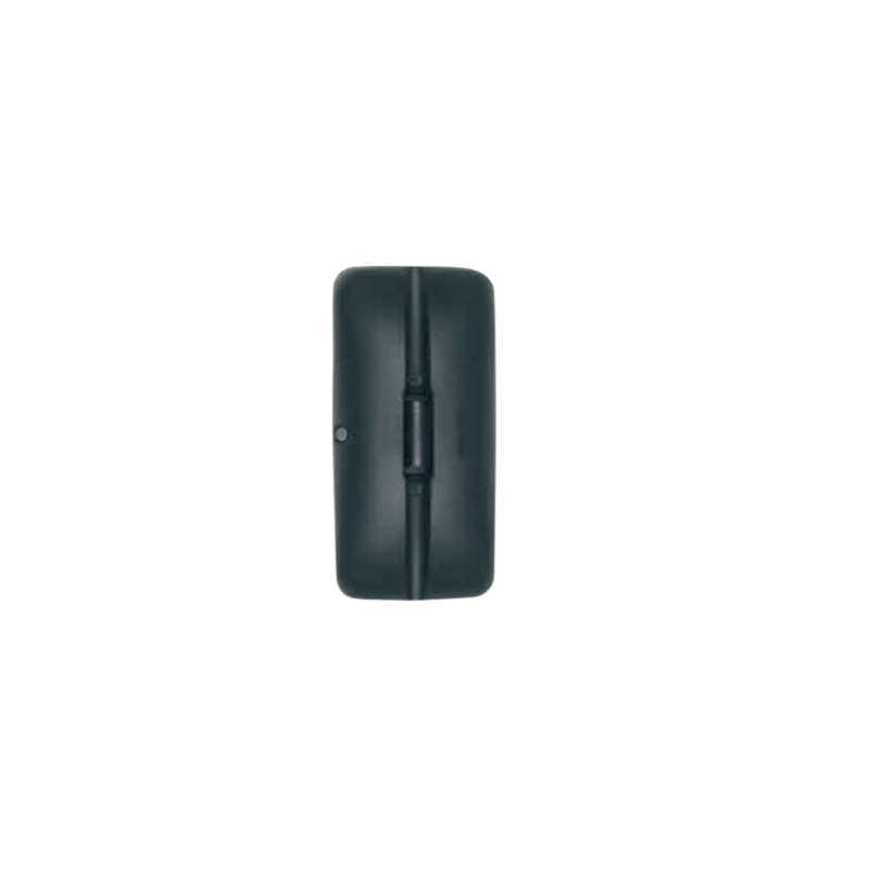 VETRO CON PIASTRA DX/SX GRANDANGOLO MANUALE 382X193 DAF LF 45 2001  OEM 1404871