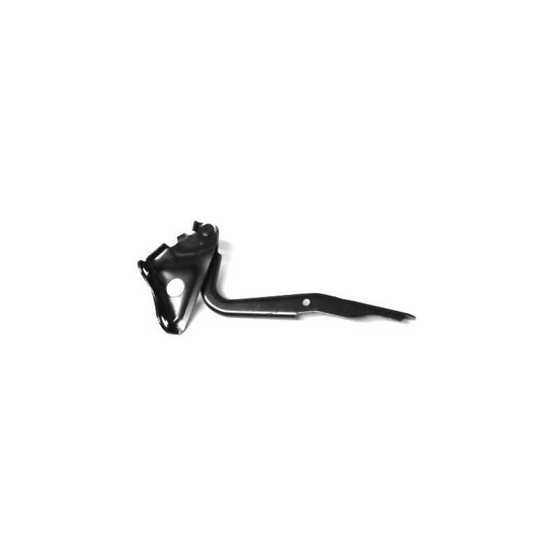 CERNIERA COFANO ANT DX TOYOTA RAV 4 (A3) 2005 2010 OEM 5341042040