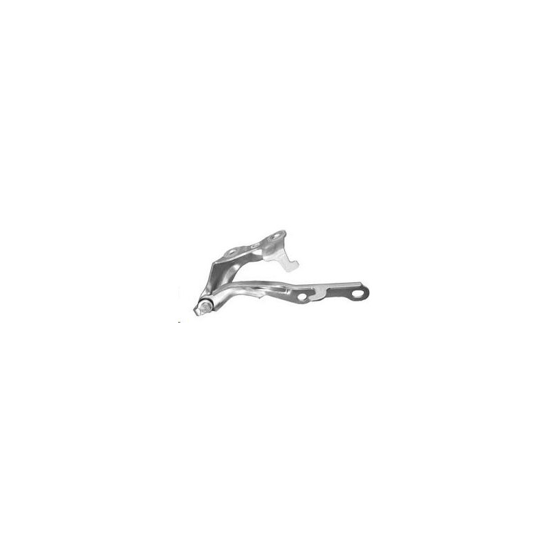 CERNIERA COFANO ANT DX TOYOTA RAV 4 (XA10) 1995 1998 OEM 5341042010