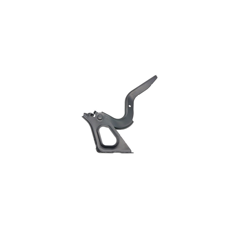 CERNIERA COFANO ANT SX TOYOTA RAV 4 (XA50/A5/H5) 2019 2025 OEM 5342042140