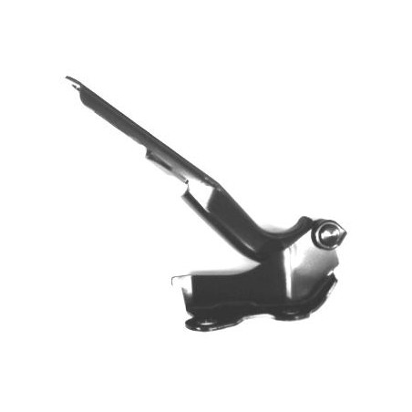 CERNIERA COFANO ANT SX TOYOTA LAND CRUISER PRADO 120 (J12) 2002