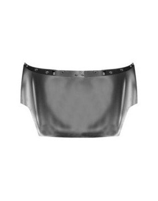 COFANO ANT FIAT GRANDE PUNTO (199) 2005 2012 OEM 51701140