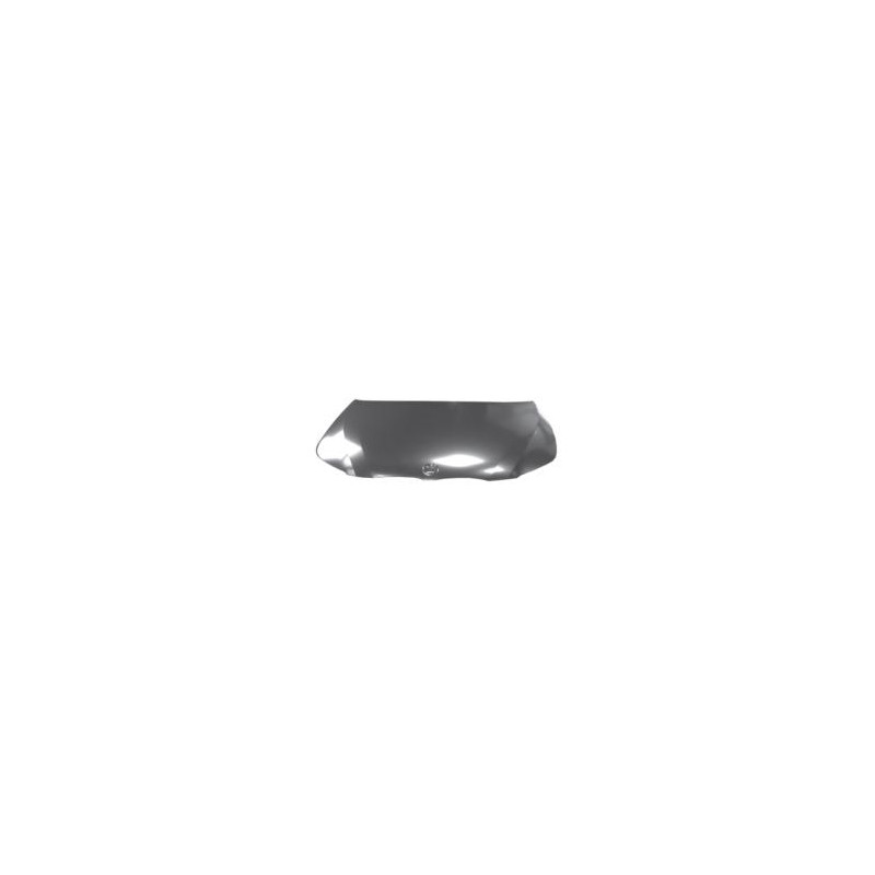 COFANO ANT BMW SERIES 5 (E60/E61) 2003 2010 OEM 41617111385