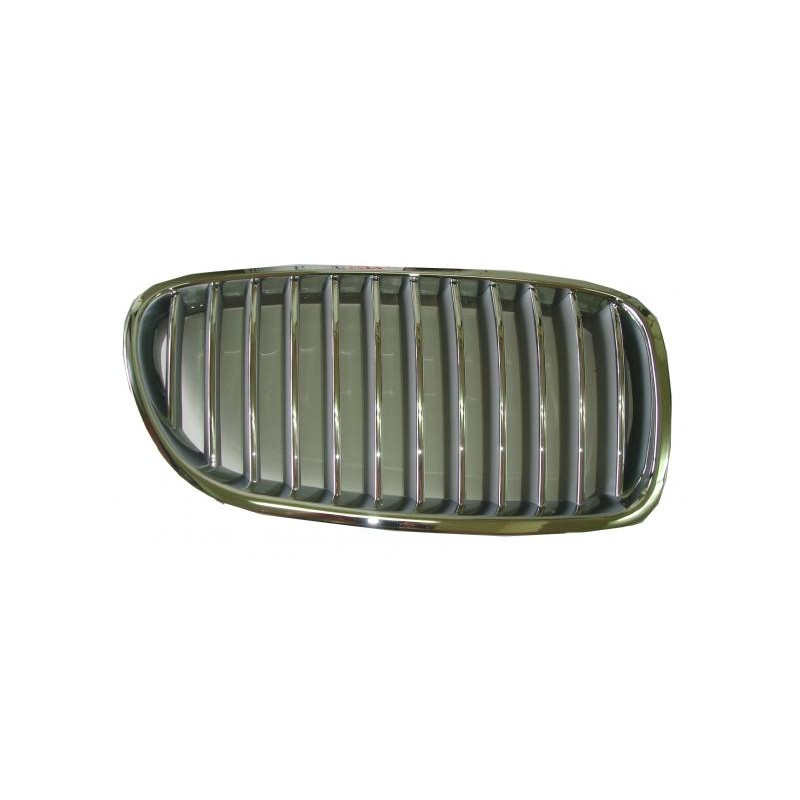 GRIGLIE ANT DX CROMATA/GRIGIA BMW SERIES 5 (F10/F11) 2010 2013 OEM 51137261356