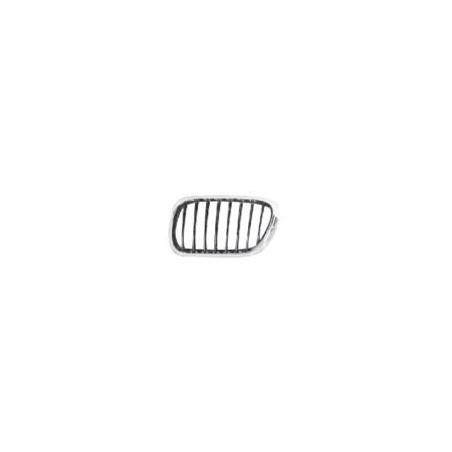 GRIGLIE ANT SX CROMATA/GRIGIA BMW X5 (E53) 2000 2007 OEM