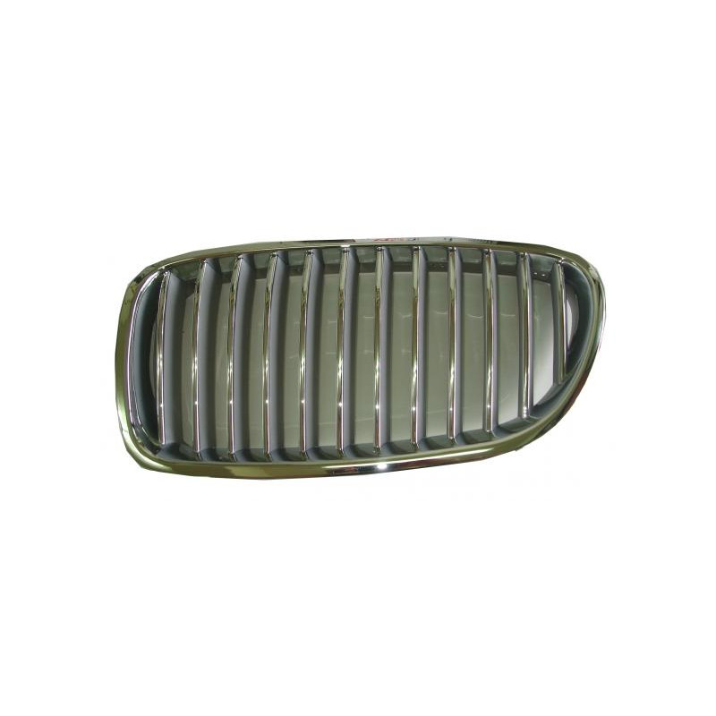 GRIGLIE ANT SX CROMATA/GRIGIA BMW SERIES 5 (F10/F11) 2010 2013 OEM 51137261355