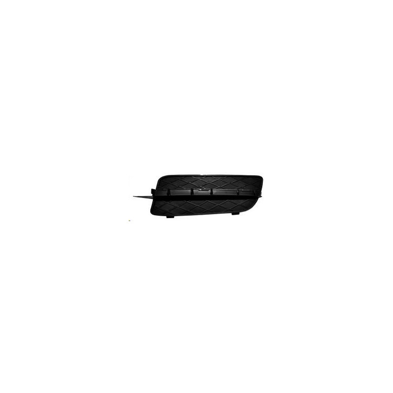 GRIGLIE PARAURTI ANT SX BMW X5 (E70) 2007 2010 OEM 51117159593