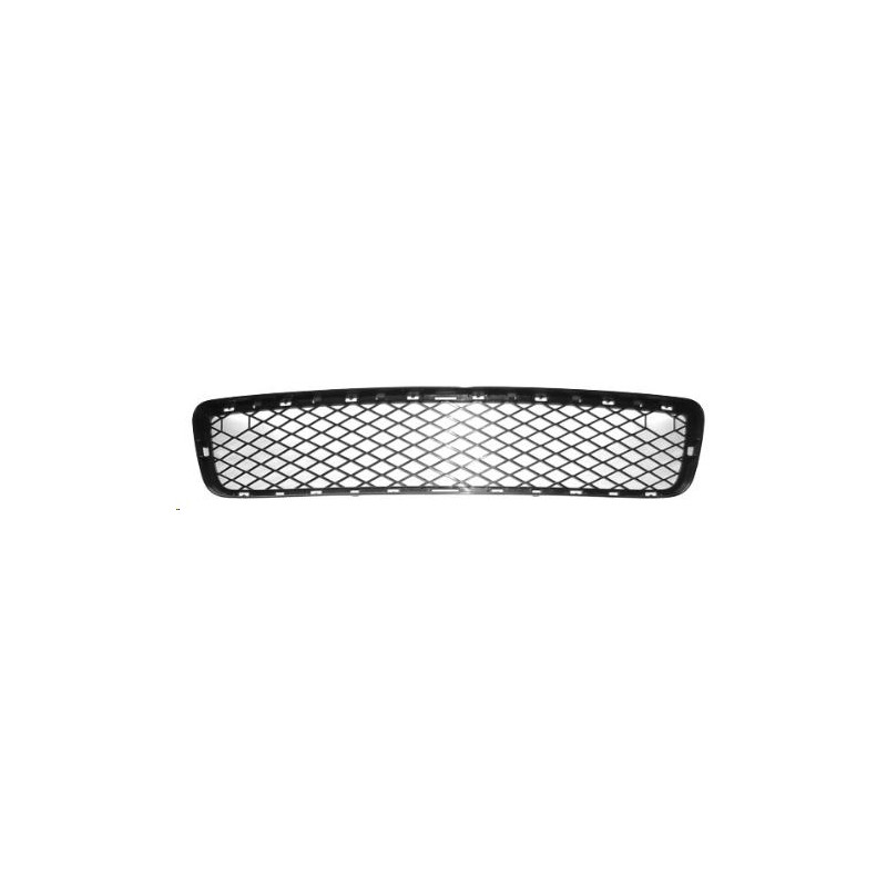 GRIGLIE PARAURTI ANT INF BMW X5 (E70) 2007 2010 OEM 51117163956