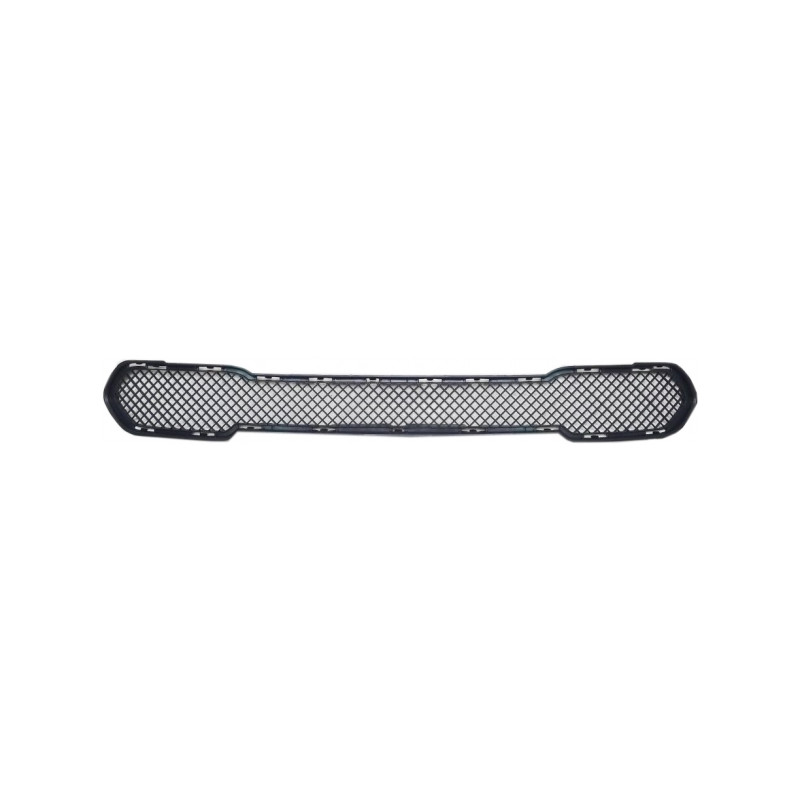 GRIGLIE PARAURTI ANT CENTRALE BMW X1 (E84) 2009 2013 OEM 51112990368