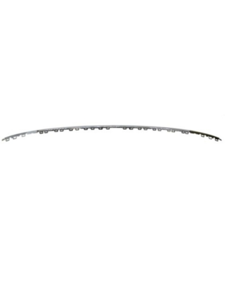 MODANATURA PARAURTI POST CENTRALE CROMATA VOLKSWAGEN TIGUAN (AD1/AX1) 2016 2020 OEM 5NN8538352ZZ