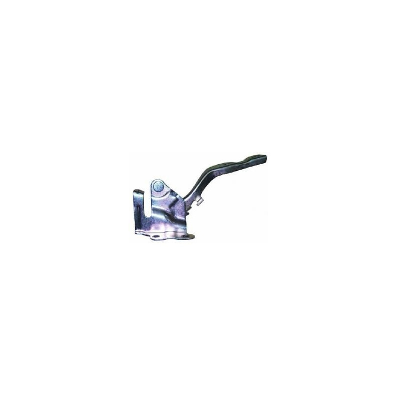 CERNIERA COFANO ANT DX HYUNDAI i10 I (PA) 2007 2010 OEM 791200X000