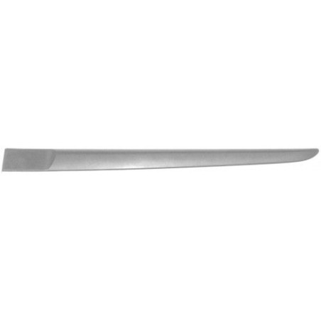 MODANATURA PORTA POST SX RENAULT CLIO III (BR0 1/CR0 1) 2006 2009