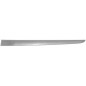MODANATURA PORTA POST SX RENAULT CLIO III (BR0 1/CR0 1) 2006 2009