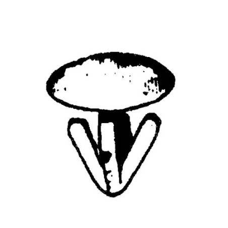 BOTTONI BIANCO TARGA