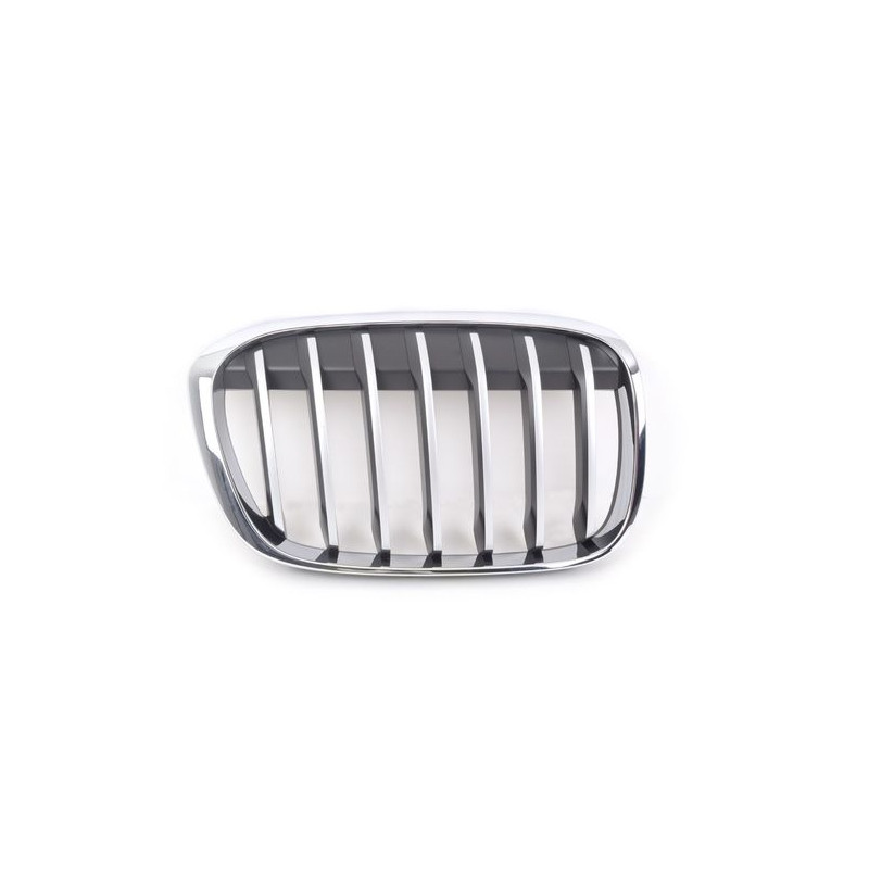 GRIGLIA ANT SX CROMATA/CROMATA/NERA BMW X1 (F48) 2015 2019 OEM 51117383365