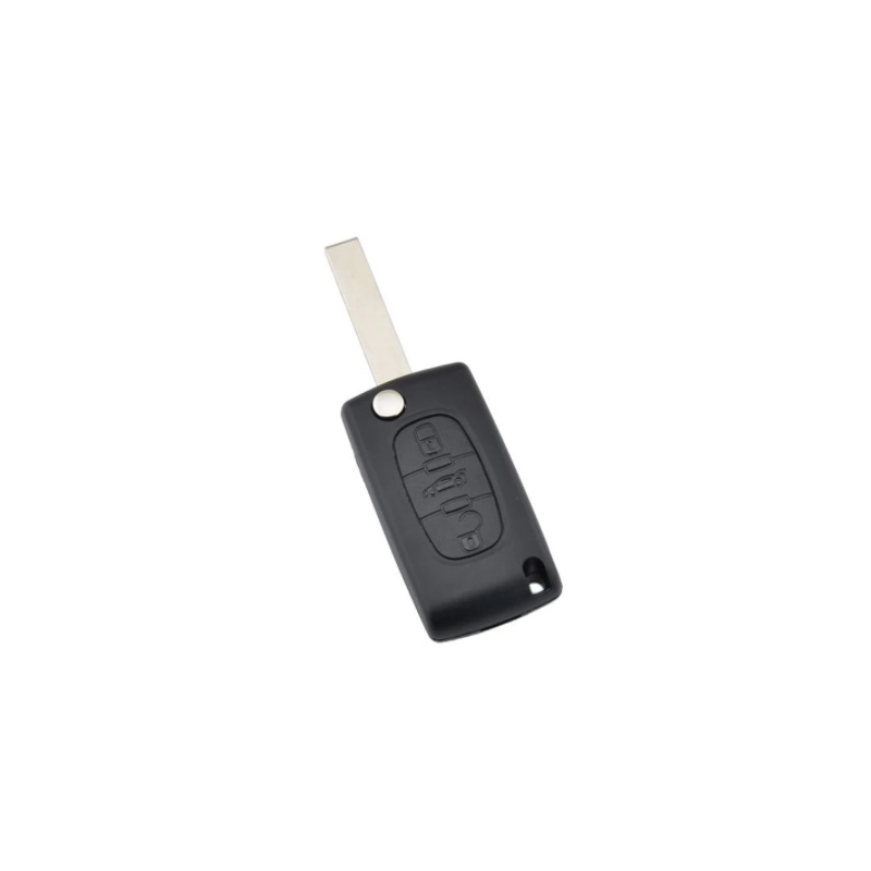 GUSCIO PER CHIAVI 3 (ALLOGGIO BATTERIA CE0536) PEUGEOT 307 (3A/3C) 2001 2005