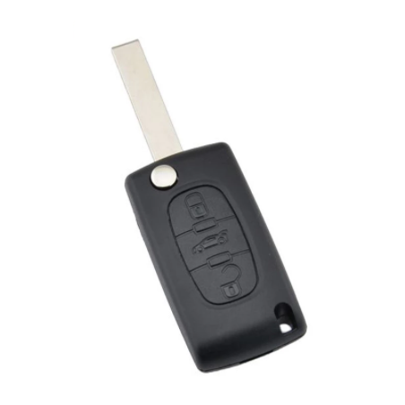 GUSCIO PER CHIAVI 3 (ALLOGGIO BATTERIA CE0536) PEUGEOT 307 (3A/3C) 2001 2005