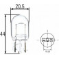 W21W 12V 21W STANDARD
