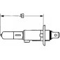 H1 12V 55W LONG LIFE