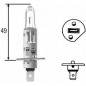 LAMPADINA H1+50% 12V,55W