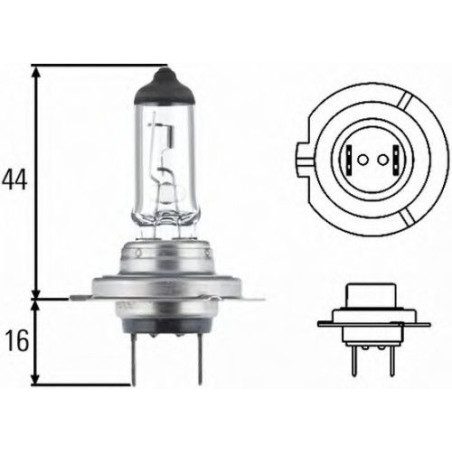 H7 12V 55W STANDARD