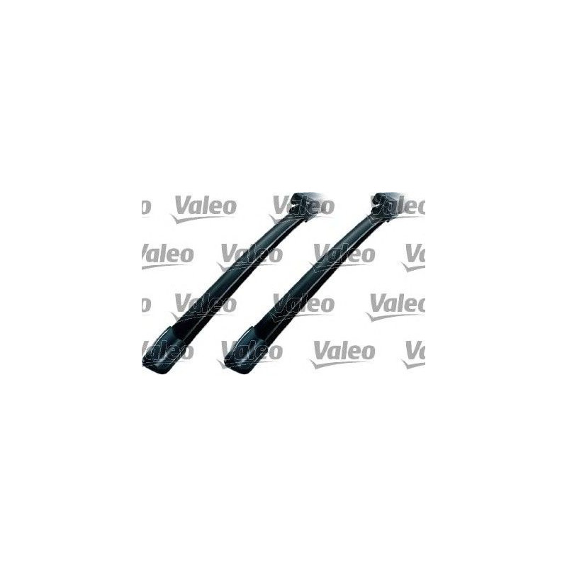 SPAZZOLA TERGI