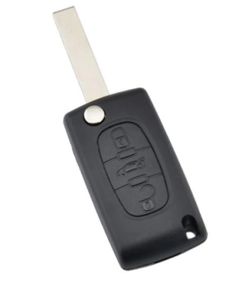 GUSCIO PER CHIAVI 3 (NO LOGO) PEUGEOT 307 (3A/3C) 2001 2005