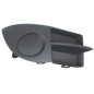 GRIGLIA PARAURTI ANT DX RENAULT CLIO III (BR0 1/CR0 1) 2006 2009 OEM 7702295498