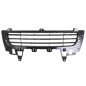 GRIGLIA PARAURTI ANT CENTRALE PORSCHE CAYENNE (9PA) 2003 2010 OEM 955505683109B9
