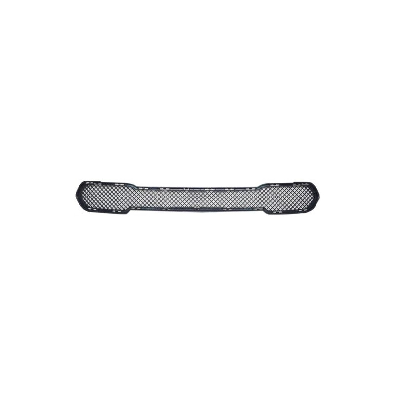 GRIGLIA PARAURTI ANT CENTRALE BMW X1 (E84) 2009 2013 OEM 51112990368