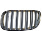 GRIGLIA ANT SX CROMATA/GRIGIO SCURO BMW X3 (E83) 2004 2007 OEM 51113420091