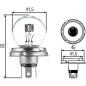 LAMPADINA 6V/45/40W