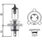 LAMPADA H4 60/55W 12V ATTACCO P43T-38