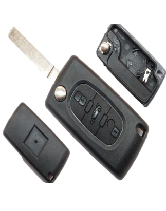 GUSCIO PER CHIAVI 3 (ALLOGGIO BATTERIA) SIP22 CITROEN C3 (FC/FN) 2002 2010