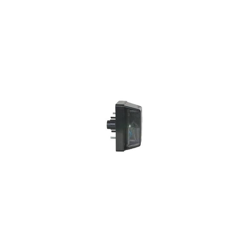 FANALE TARGA DX/SX FIAT DUCATO II (244) 2002 2006 OEM 98426076