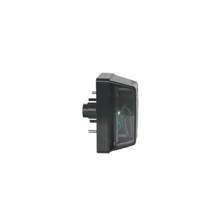 FANALE TARGA DX/SX FIAT DUCATO II (244) 2002 2006 OEM 98426076